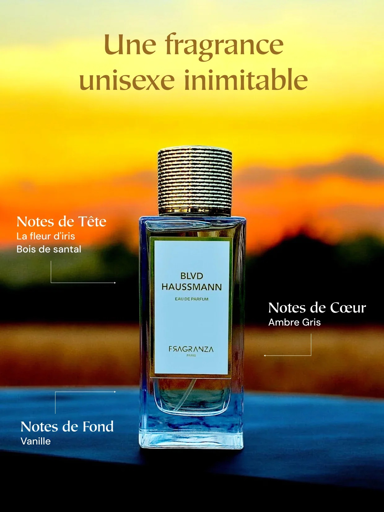 BLVD Haussmann – Eau de Parfum Unisexe 100 ml – Image 2